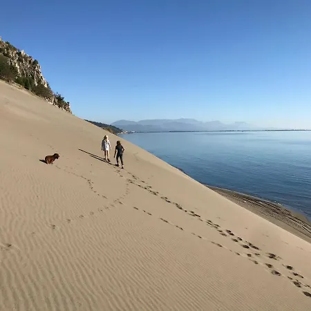 Beachfront, Tirana Willa *