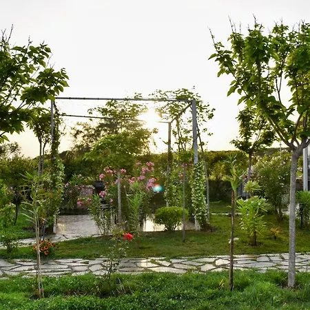Beachfront, Tirana * Velipojë