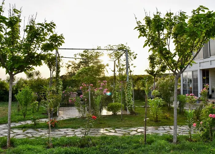 Beachfront, Tirana * Velipojë