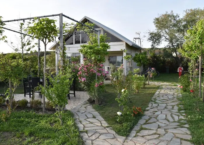 Beachfront, Tirana * Velipoje